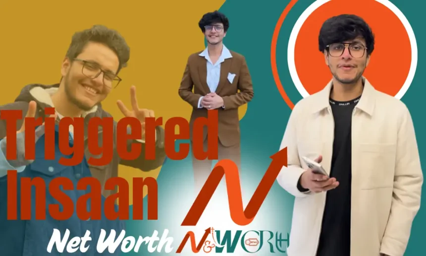 Triggered Insaan Net Worth